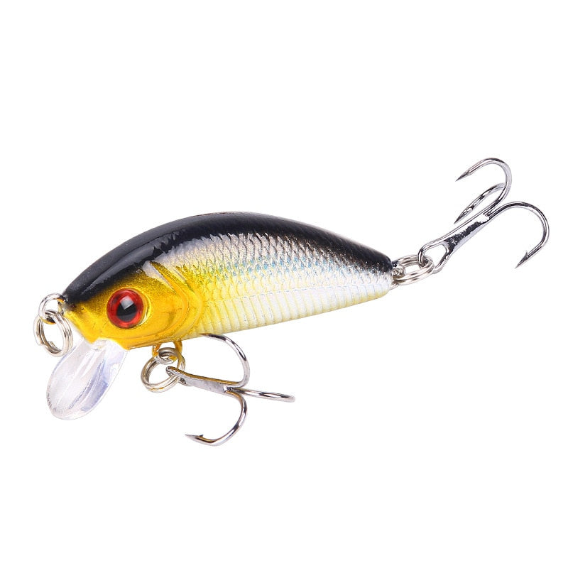 1 Piece Minnow Fishing Lure - Simply Great Gear