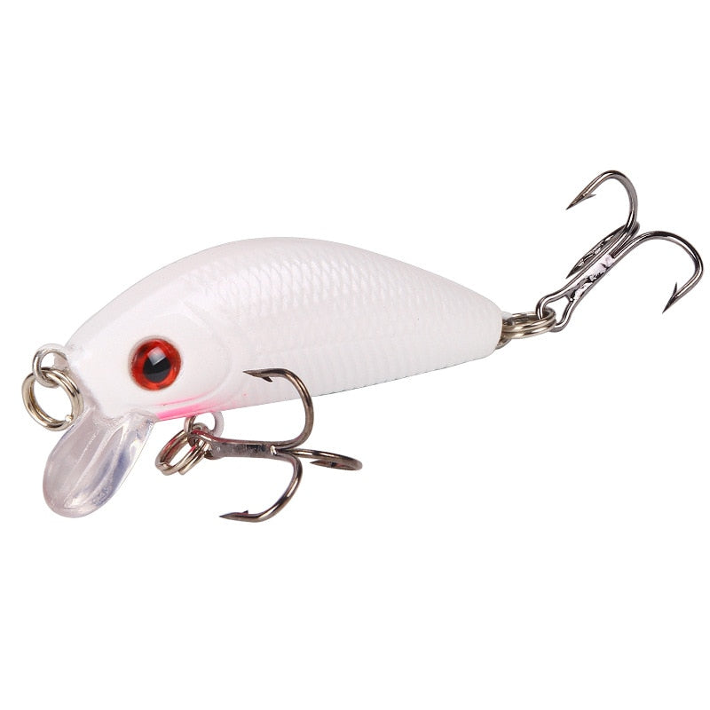 Minnow Fishing Lure - Simply Great Gear