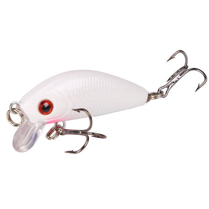 Minnow Fishing Lure - Simply Great Gear