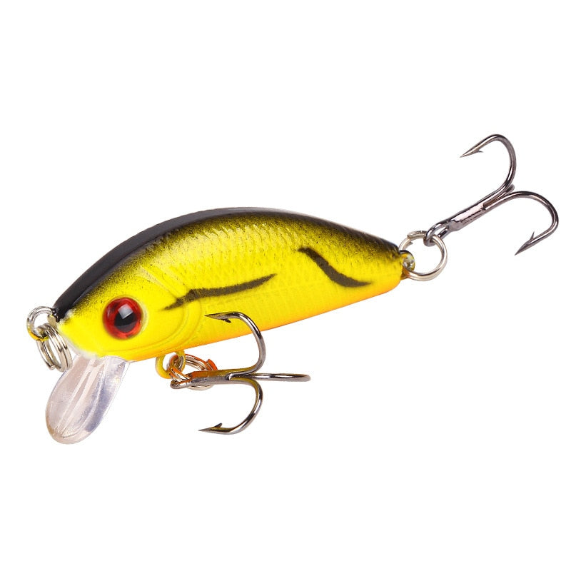 1 Piece Minnow Fishing Lure - Simply Great Gear