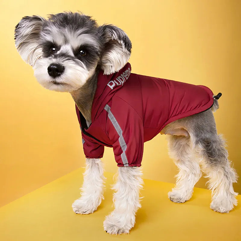 Waterproof Dog Clothes - Simply Great Gear