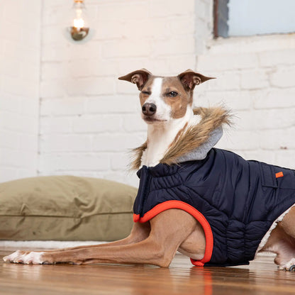 Dog Winter Sailor Parka - Navy