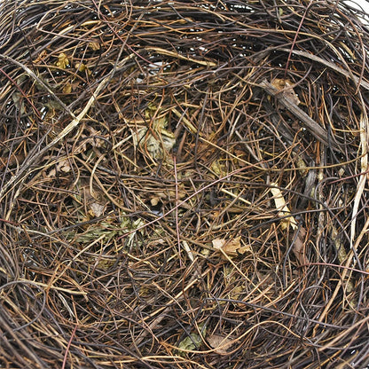 Round Rattan Bird Nest - Simply Great Gear