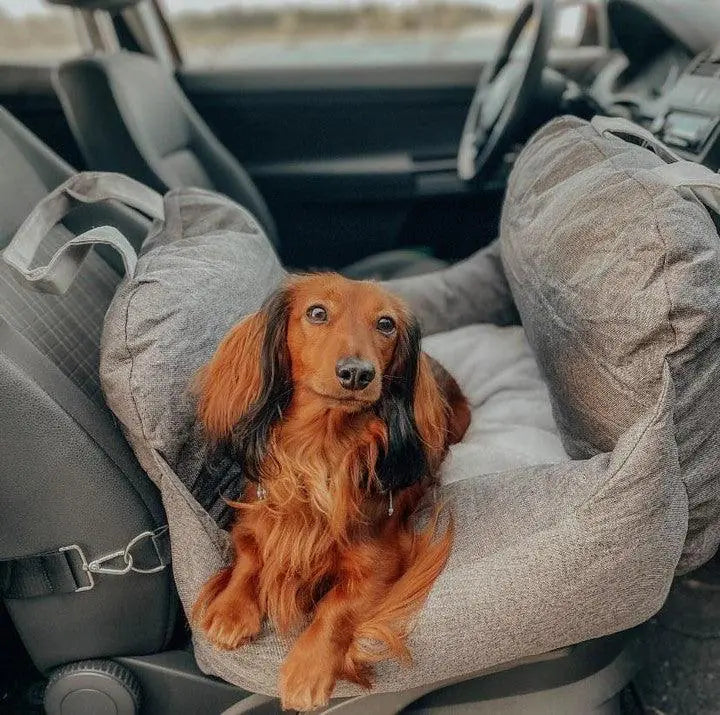 Pet Travel Bed - Simply Great Gear