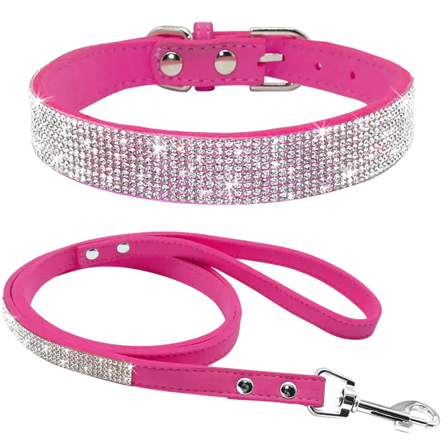 Pet Collar - Simply Great Gear