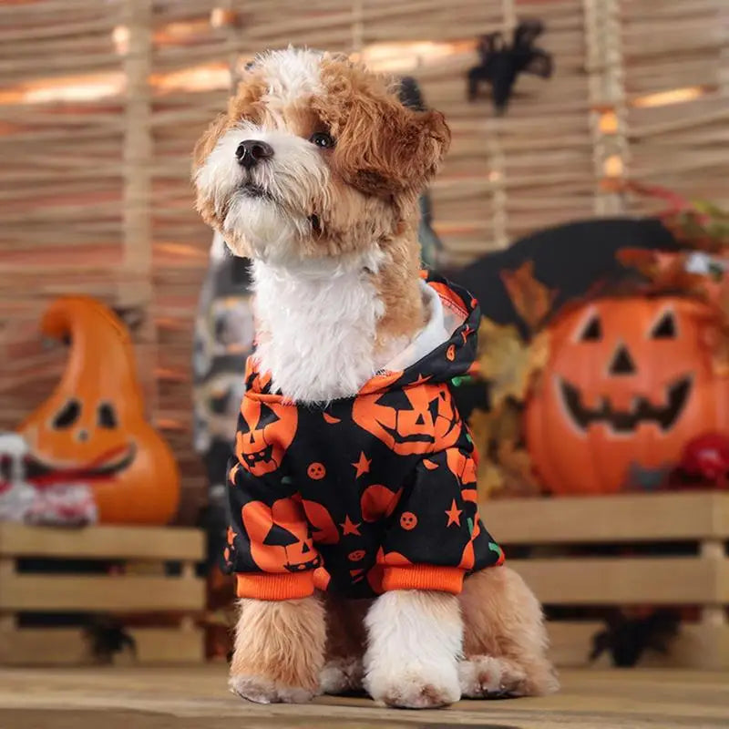 Pet Pumpkin Halloween Hoodie