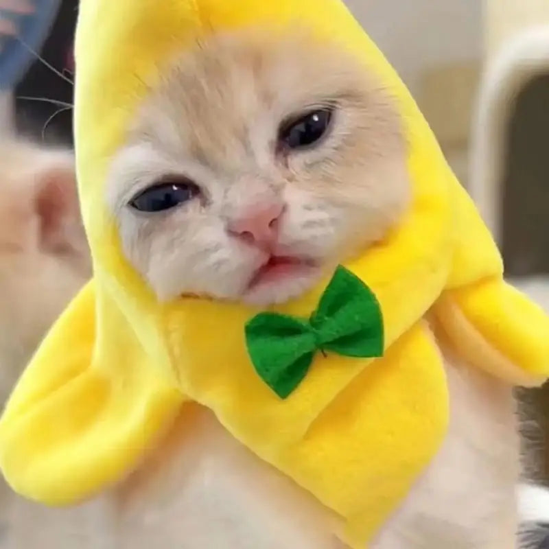 Halloween Cat Banana Costume