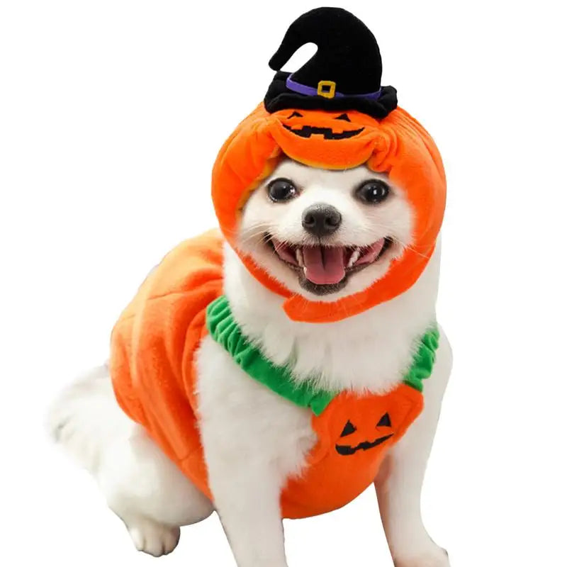 Pet Pumpkin Costume, Dog Funny Halloween Hat Cloth Suit, Adjustabe Cosplay Party Apparel For Cat Kitten Puppy