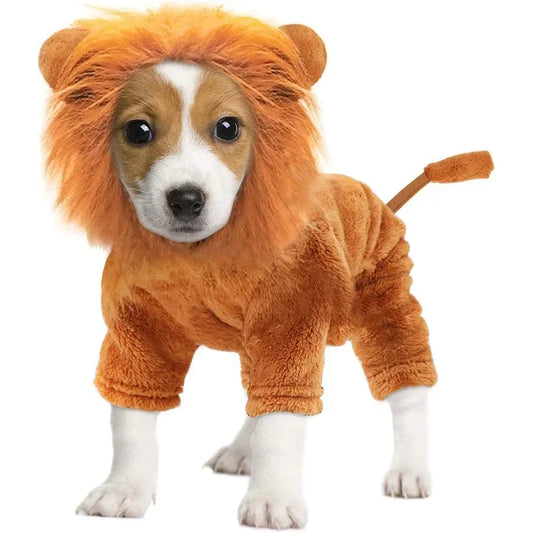 Halloween Pet Lion Costume