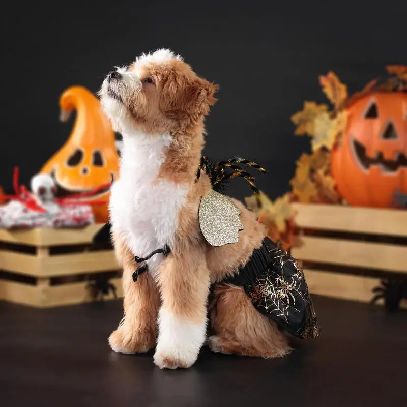 Pet Spider Halloween Costume