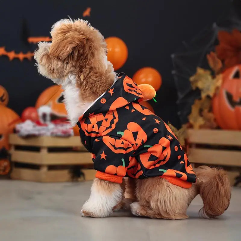 Pet Pumpkin Halloween Hoodie