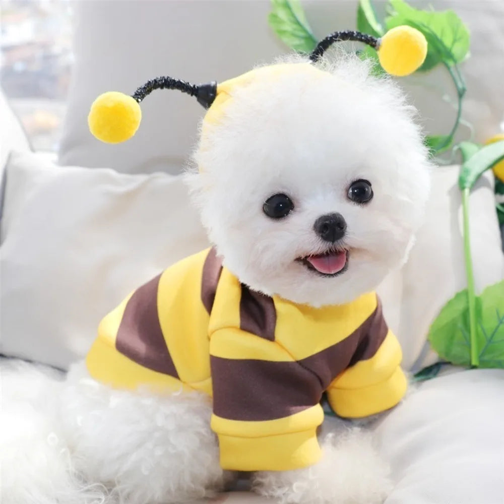 Pet Halloween Cartoon Hoodie