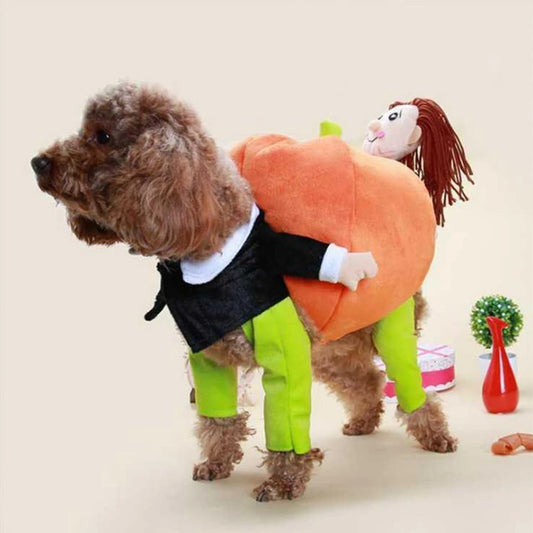 Halloween Pumpkin Pet Costume