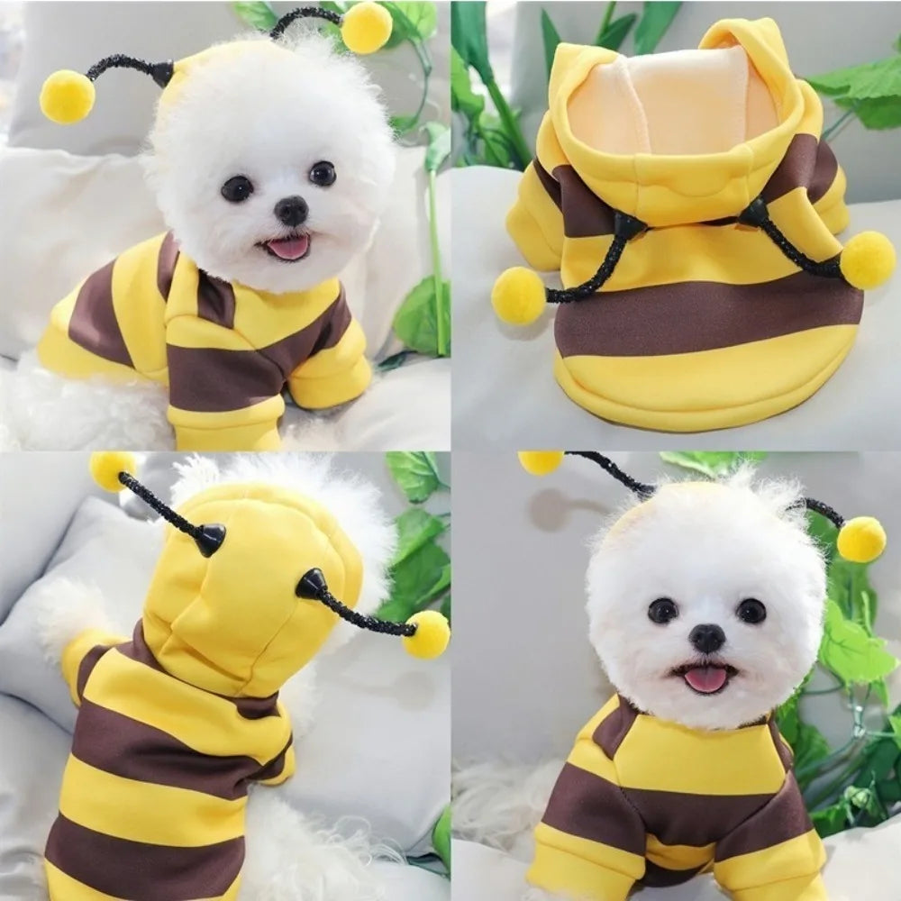 Pet Halloween Cartoon Hoodie