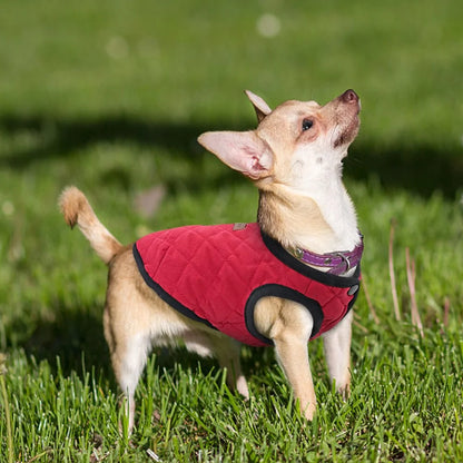 Warm Dog Jacket