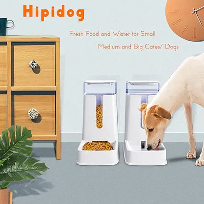 automatic cat feeder petco