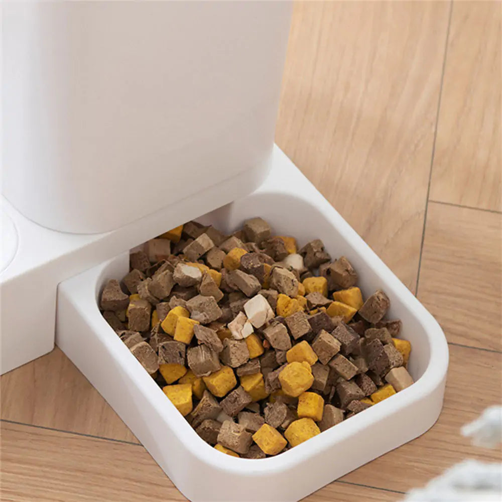 Cat Automatic Feeder - Simply Great Gear