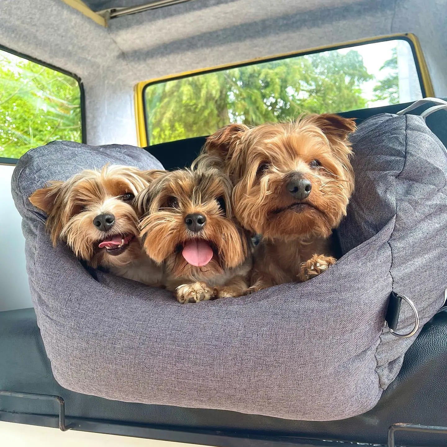 Pet Travel Bed - Simply Great Gear