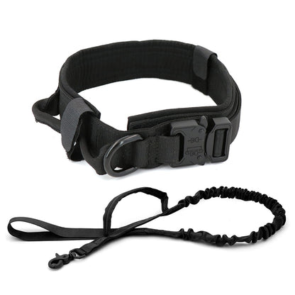 Dog Collar - Simply Great Gear