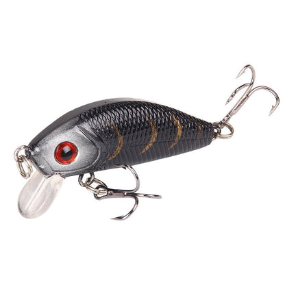 Minnow Fishing Lure - Simply Great Gear