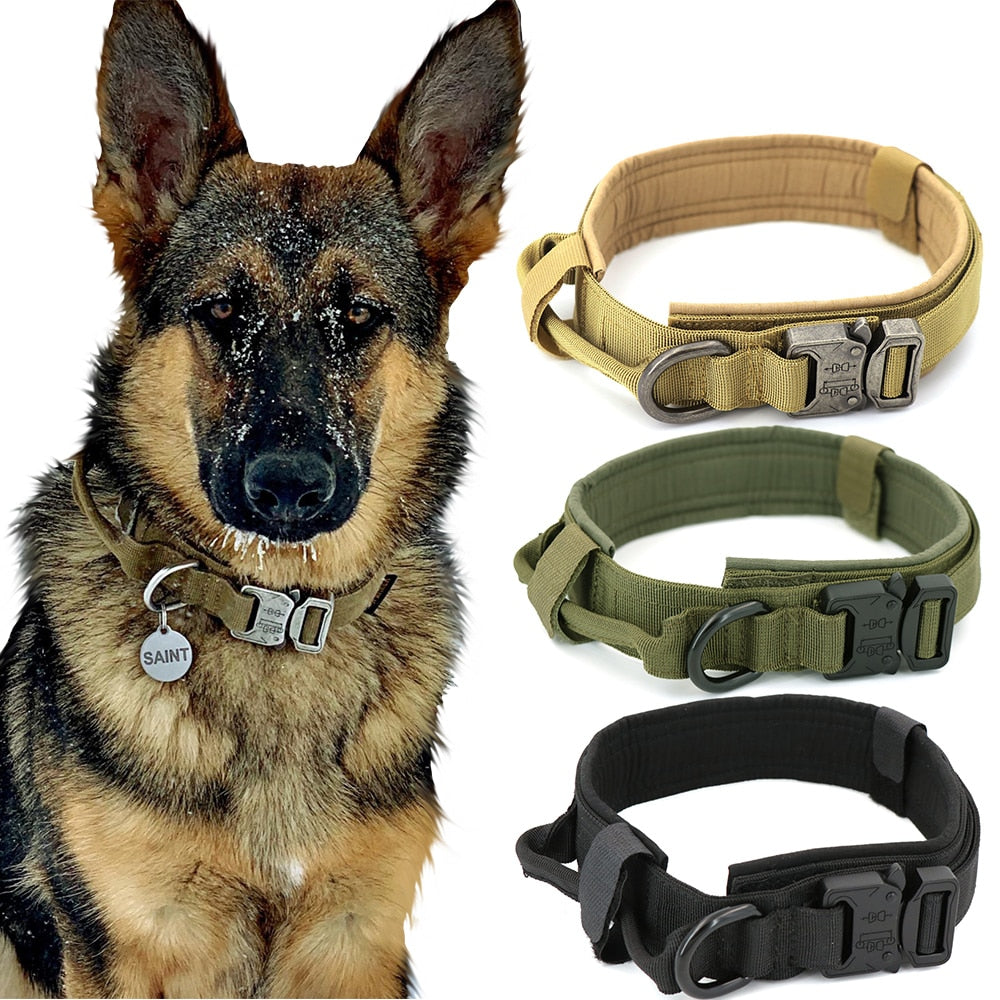 Dog Collar - Simply Great Gear