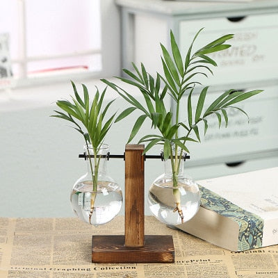 Hydroponic Transparent Plant Vases - Simply Great Gear