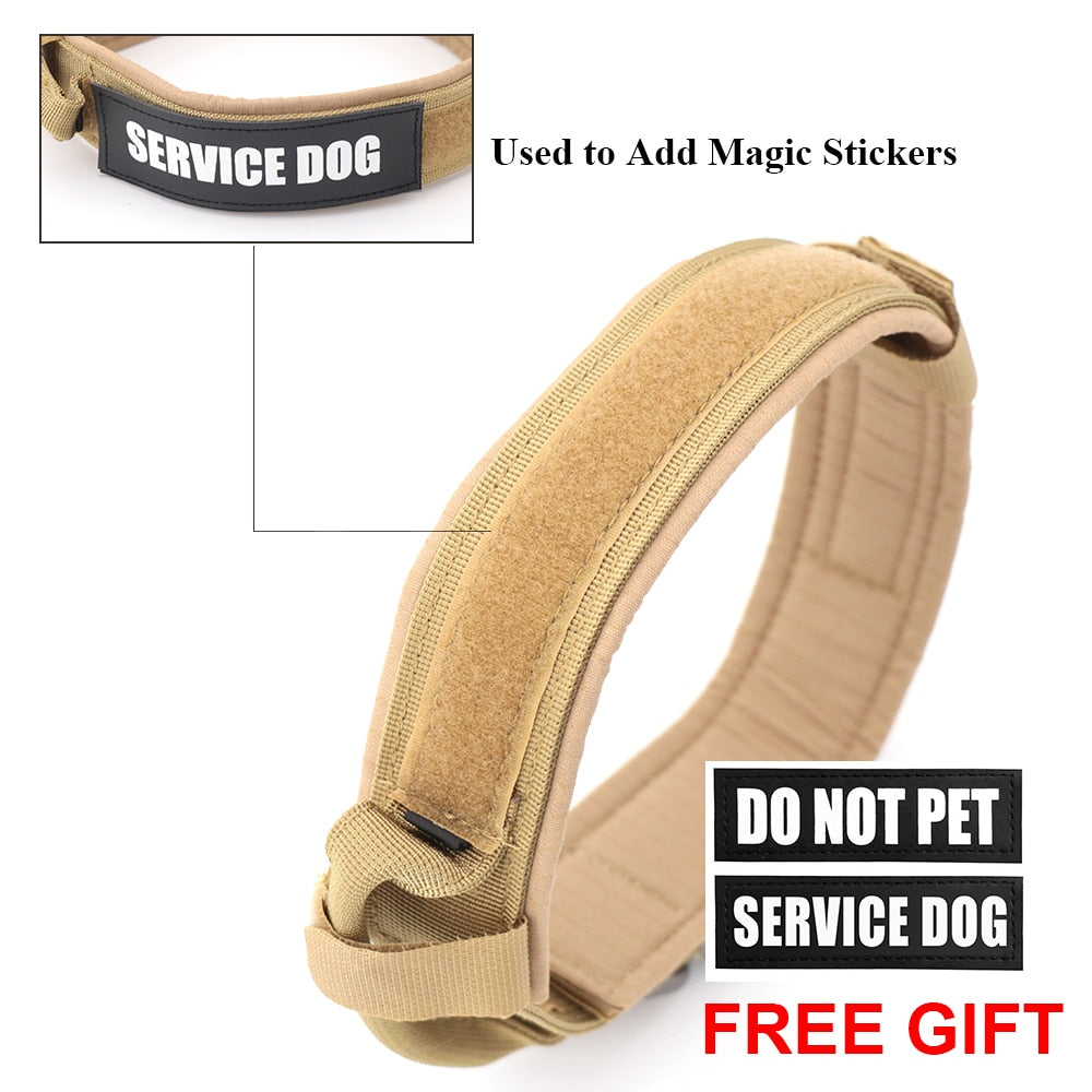 Dog Collar - Simply Great Gear